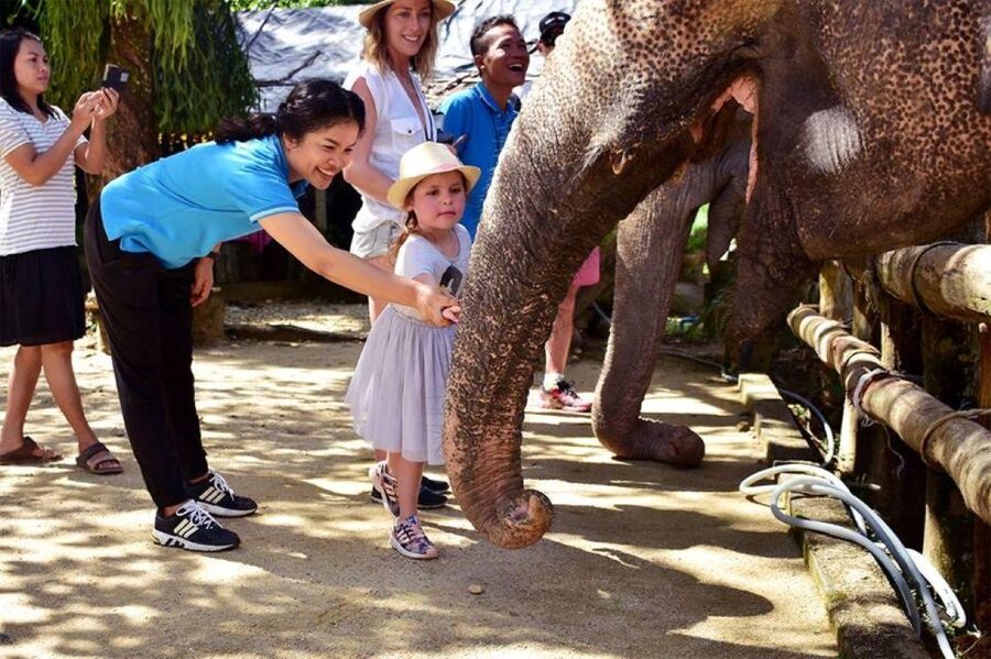 Ethical Elephant Sanctuary Experience in Khao Lak - Watching the creek and mud area