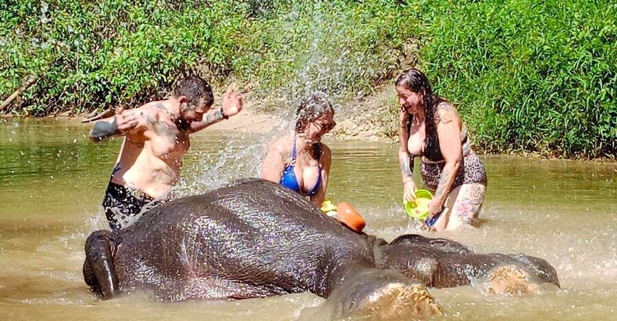 Ethical Elephant Sanctuary Experience in Khao Lak - Making Ya Dom and Khanom Krok