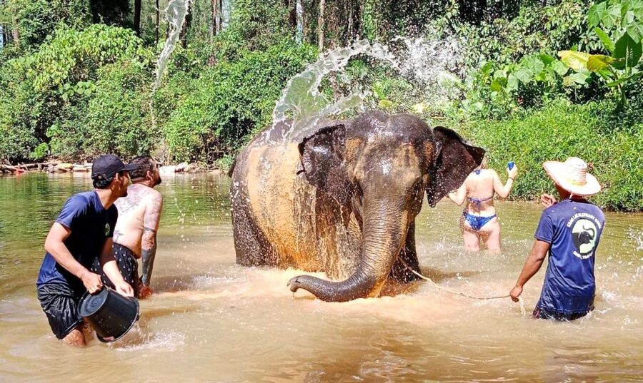 Ethical Elephant Sanctuary Experience in Khao Lak - What the $56 price really covers