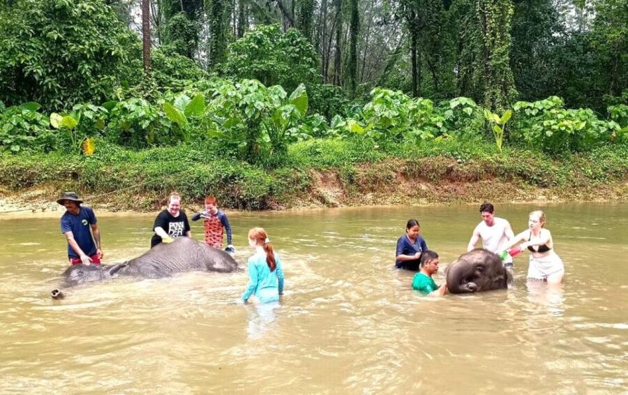 Ethical Elephant Sanctuary Experience in Khao Lak - A gentle start with Thailand’s elephant story