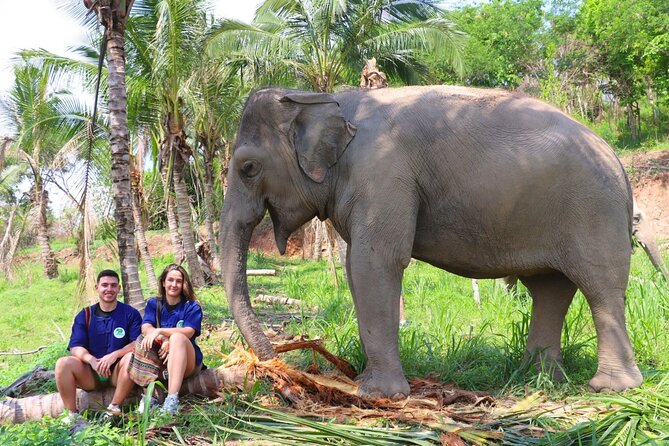 Ethical Elephant Sanctuary Tour from Bangkok & Pattaya - Key points at a glance