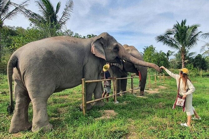 Ethical Elephant Sanctuary Tour from Bangkok & Pattaya - Lunch after the elephant activities