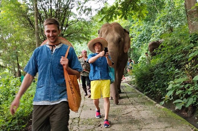 Ethical Elephant Visit and White Water Rafting in Chiang Mai - What the ethical approach means for your visit
