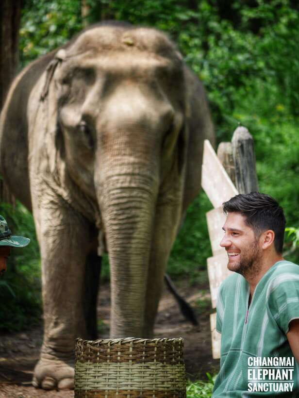 Exclusive experience half day with family giant animals - From Chiang Mai to the elephant sanctuary