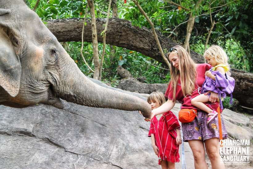 Exclusive experience half day with family giant animals - What the $48 price really includes