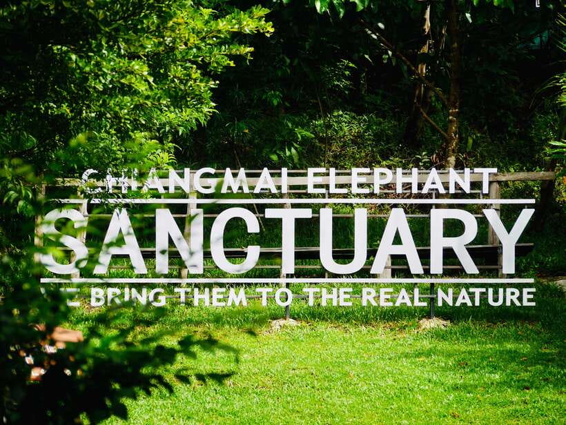 Exclusive experience half day with family giant animals - Getting ready at the sanctuary