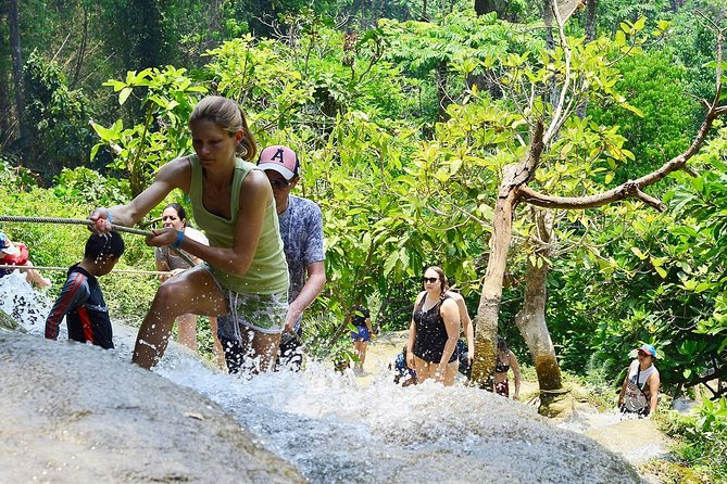 Experience Elephant Sanctuary + Sticky Waterfall - How private is the private tour?