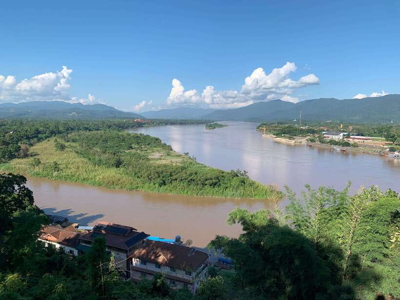 Explore the Chiang Rai and the Golden Triangle - Choui Fong Tea Plantation in the hills