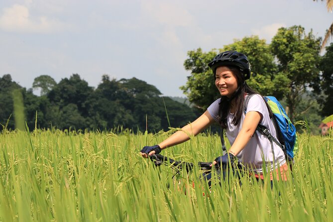 FIELDS OF GOLD Mountain Biking Tour Chiang Mai - Why this ride gets you beyond Chiang Mai