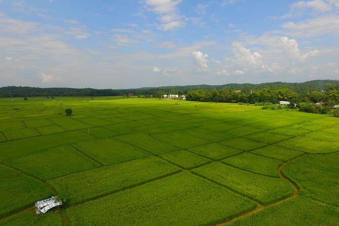 FIELDS OF GOLD Mountain Biking Tour Chiang Mai - The Kona Blast bike and protective kit