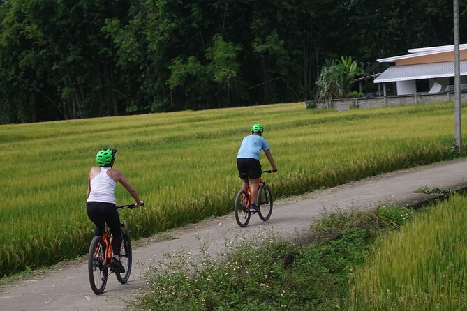 FIELDS OF GOLD Mountain Biking Tour Chiang Mai - Riding through farms, rice fields, and village country