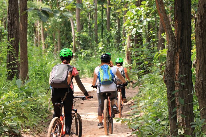 FIELDS OF GOLD Mountain Biking Tour Chiang Mai - How the price compares with the effort