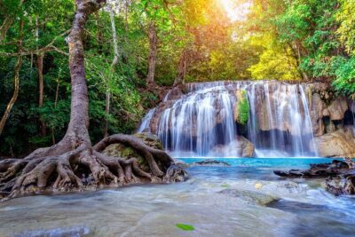 Floating and Railway Market (Optional Waterfall): Private Tour