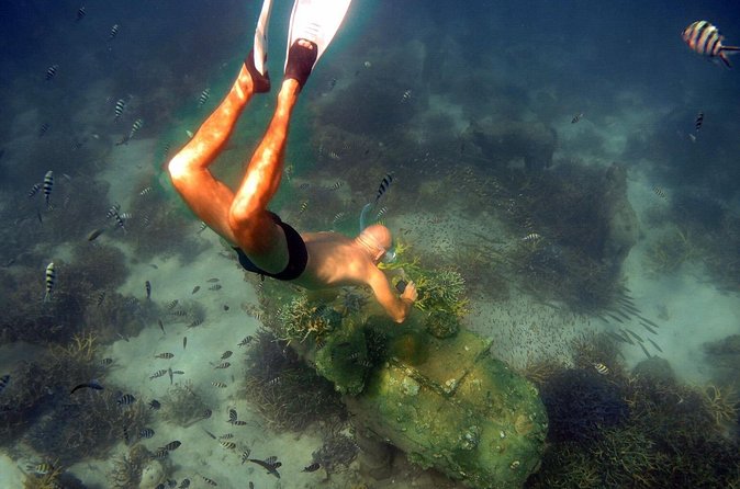 Freedive trip Koh Kood or Koh Rang National Park ( start at Ko Kut) - Koh Rang National Park and its coral reefs