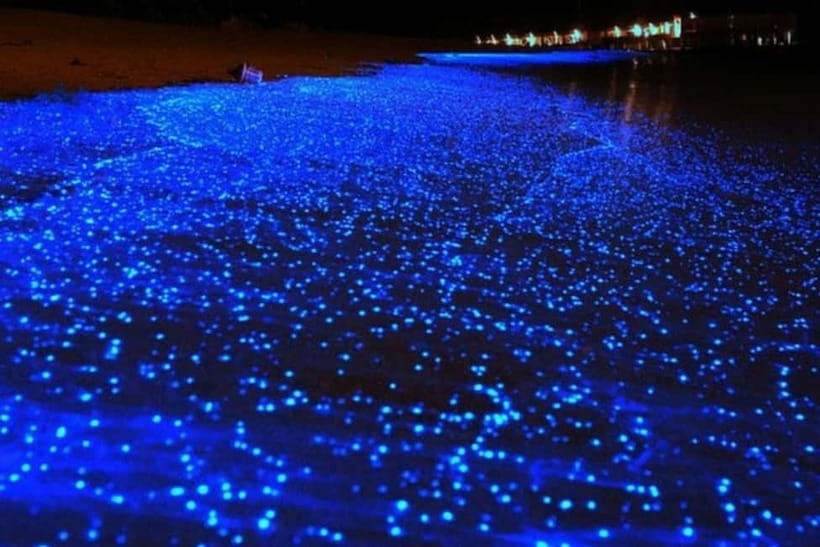 From Ao Nang Hong Island Longtail Cruise with Sunset Dinner - What the $52 price includes