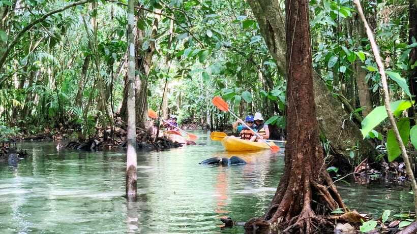 From Ao Nang: Kayaking at Klong Rud with Hotel Transfers - Practical packing advice