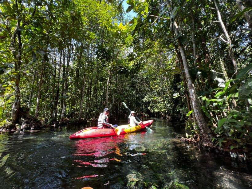 From Ao Nang: Kayaking at Klong Rud with Hotel Transfers - Paddling through the forest toward the lagoon