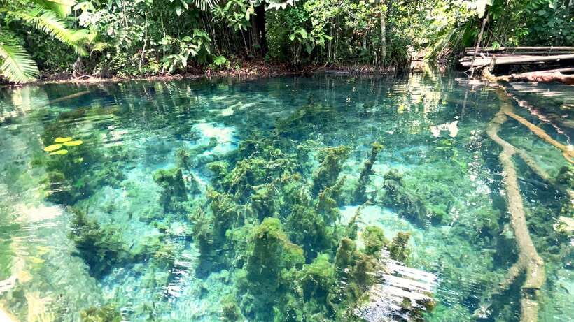 From Ao Nang: Kayaking at Klong Rud with Hotel Transfers - What the $28 price really includes
