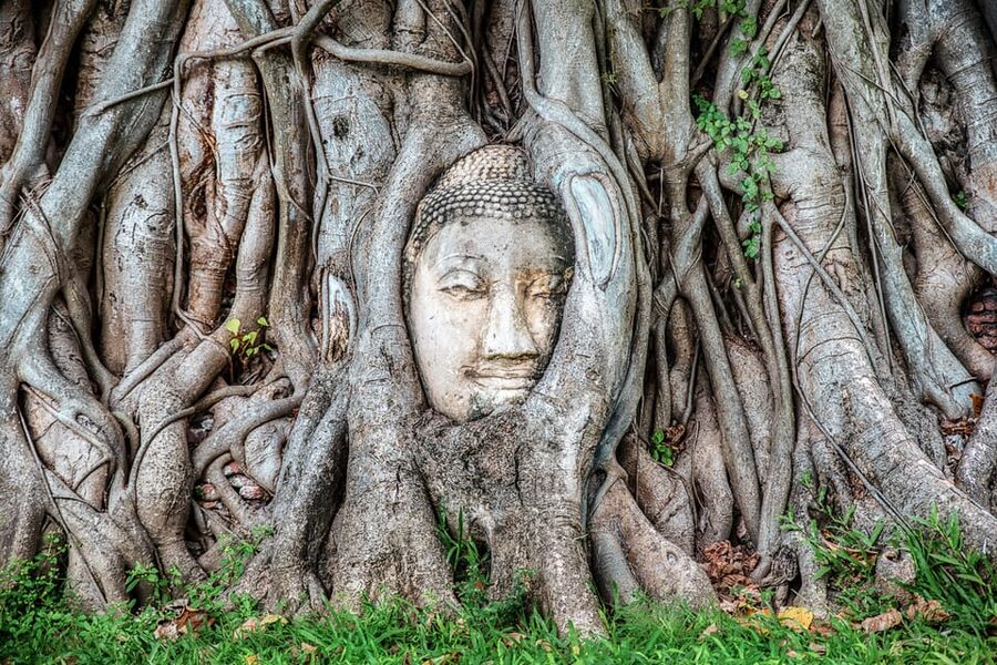 From Bangkok: Ayutthaya & Ayothaya Floating Market Day Trip - Key points to know before booking