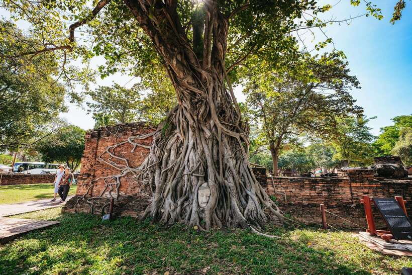 From Bangkok: Ayutthaya Temples Guided Tour with Lunch - Key points to know before booking