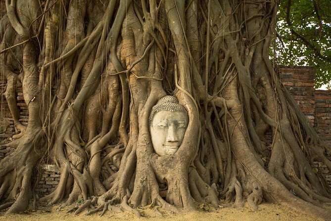 From Bangkok: Ayutthaya Temples Small Group Tour with Lunch - Lunch, a practical pause in the middle