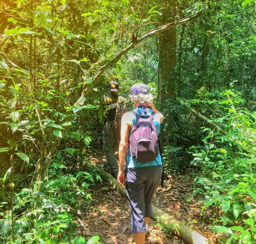 From Bangkok: Khao Yai National Park Small-Group Day Trip - The Nong Phak Chi Trail: your main taste of the forest