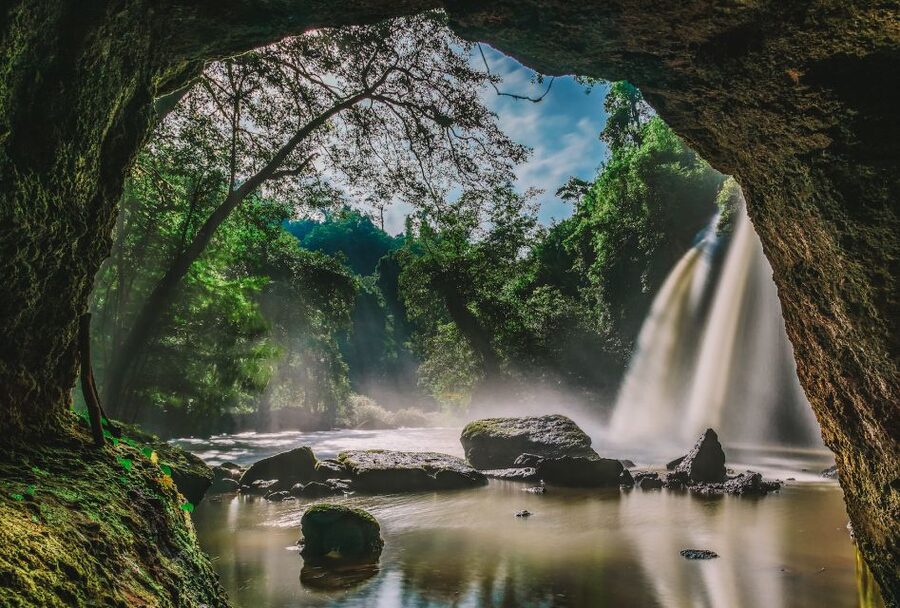From Bangkok: Khao Yai National Park Small-Group Day Trip - Haew Suwat Waterfall and the seasonal catch