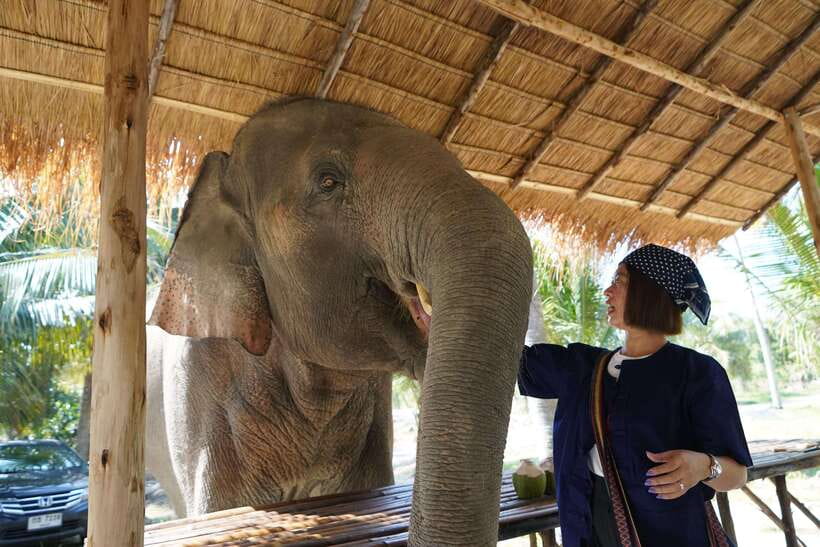 From Bangkok: Living Green Elephant Sanctuary Day Trip - Is $57 good value?