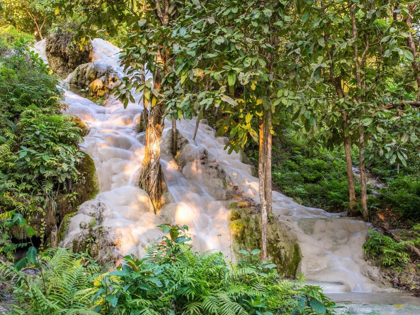 From Chiang Mai: Chiang Dao Cave Trekking Full-Day Tour - Key points at a glance