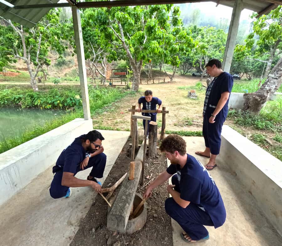 From Chiang Mai: Chiang Mai Elephant Care Morning Program - Is $54 good value?
