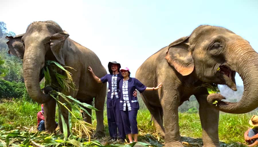 From Chiang Mai: Chiang Mai Elephant Care Morning Program - Changing clothes and learning the ground rules