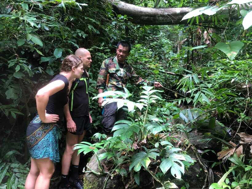 From Chiang Mai: Doi Saket Hiking Tour with Lunch - Key points about the Doi Saket jungle hike