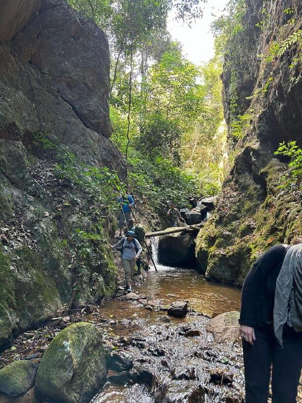 From Chiang Mai: Doi Saket Hiking Tour with Lunch - What $57 buys you