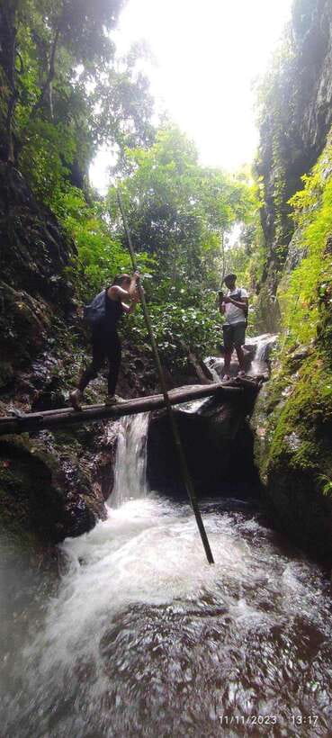 From Chiang Mai: Doi Saket Hiking Tour with Lunch - Ancient trees, wildlife, and mountain views