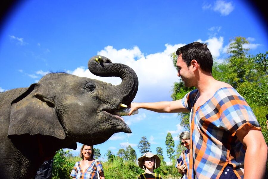 From Chiang Mai: Elephant Care Program and Nursery Tour - Key points at a glance