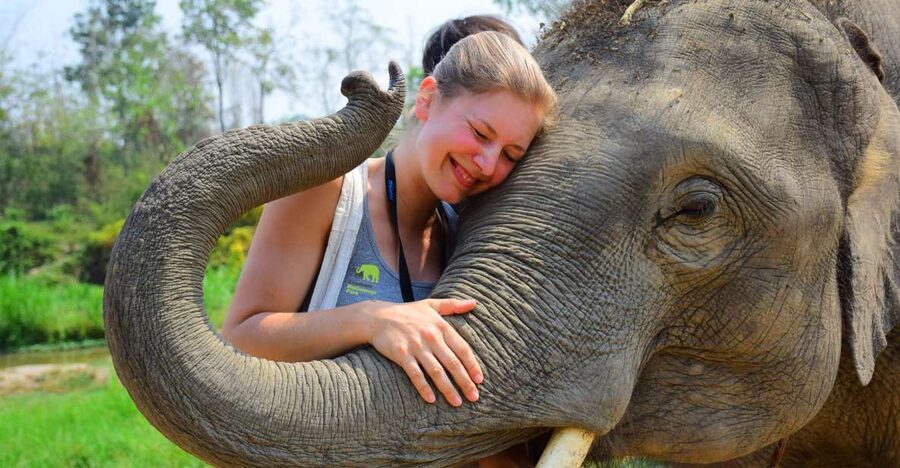 From Chiang Mai: Elephant Care Program and Nursery Tour - The one-hour ride from Chiang Mai to Mae Tang