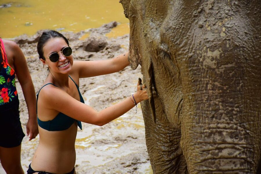 From Chiang Mai: Elephant Care Program and Nursery Tour - Preparing food, medicine balls, and banana treats