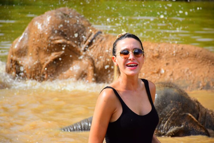 From Chiang Mai: Elephant Care Program and Nursery Tour - Thai buffet lunch after the animal activities