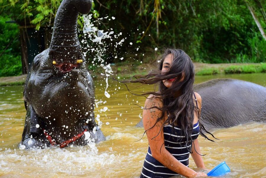 From Chiang Mai: Elephant Care Program and Nursery Tour - Photos, souvenirs, and the real cost of the day