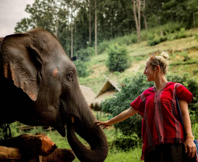 From Chiang Mai: Kerchor Eco Elephant Park Tour - The road from Chiang Mai to Kerchor