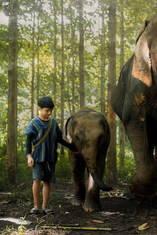 From Chiang Mai: Kerchor Eco Elephant Park Tour - Guides, photos, and the human side of the visit