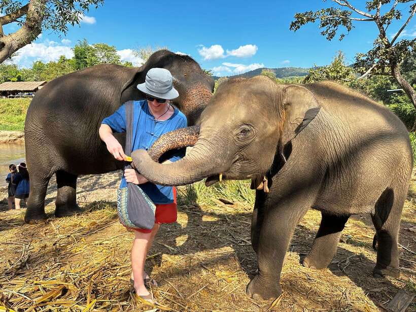 From Chiang Mai: Living Green Elephant Sanctuary Tour - Arrival, Mo Hom clothing, and the first elephant meeting