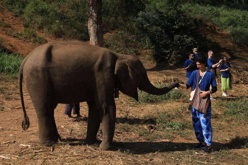 From Chiang Mai: Living Green Elephant Sanctuary Tour - The road from Chiang Mai to the sanctuary