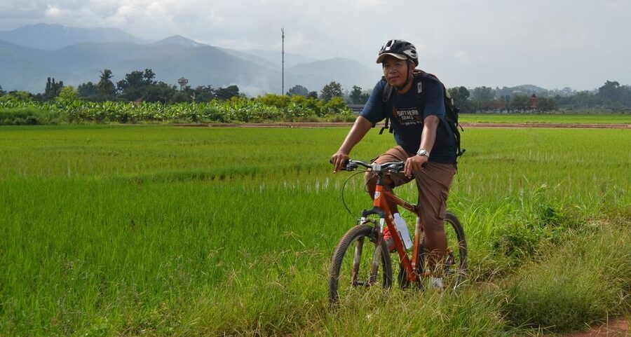 From Chiang Mai: Mae Taeng Valley and Waterfalls Cycle Tour - Price, comfort, and overall value