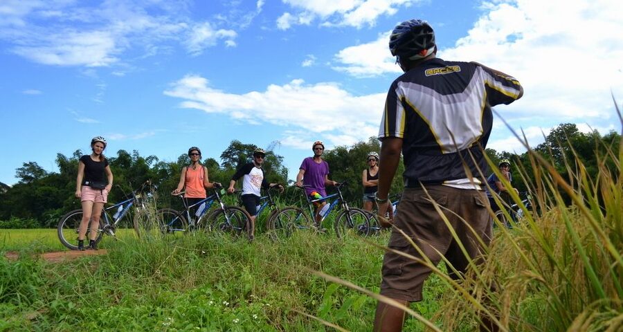 From Chiang Mai: Mae Taeng Valley and Waterfalls Cycle Tour - Thai lunch in a tropical garden setting