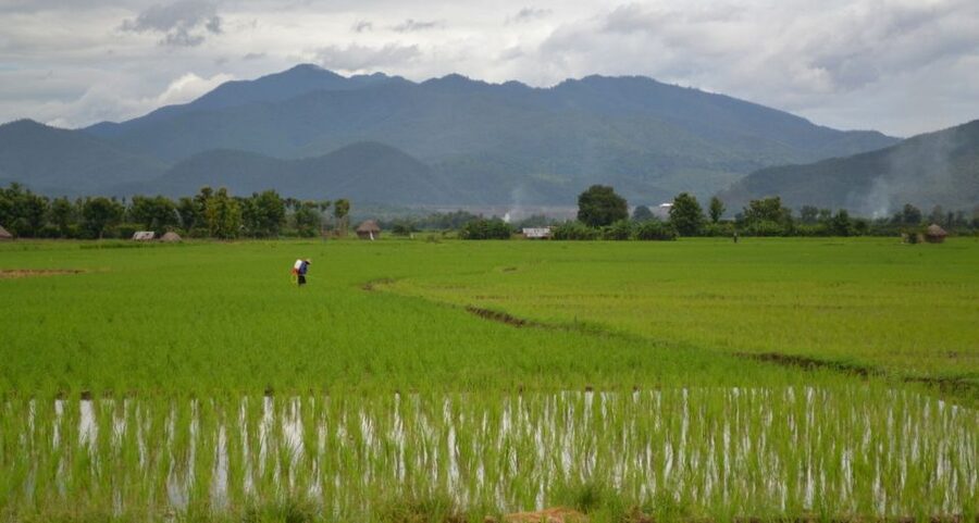 From Chiang Mai: Mae Taeng Valley and Waterfalls Cycle Tour - Guides and group size