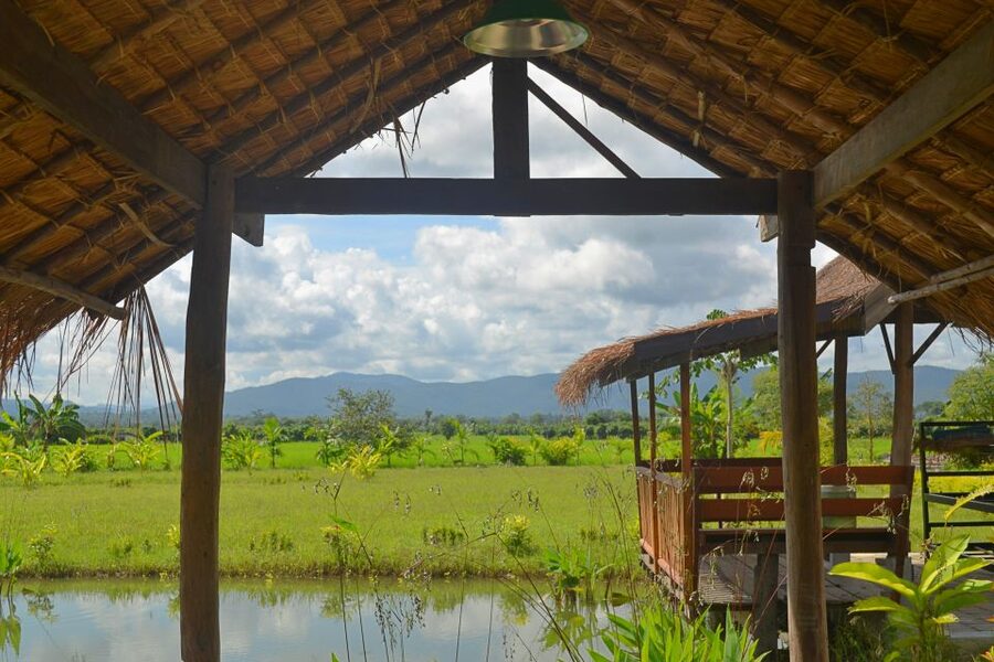 From Chiang Mai: Mae Taeng Valley and Waterfalls Cycle Tour - The morning transfer from Chiang Mai
