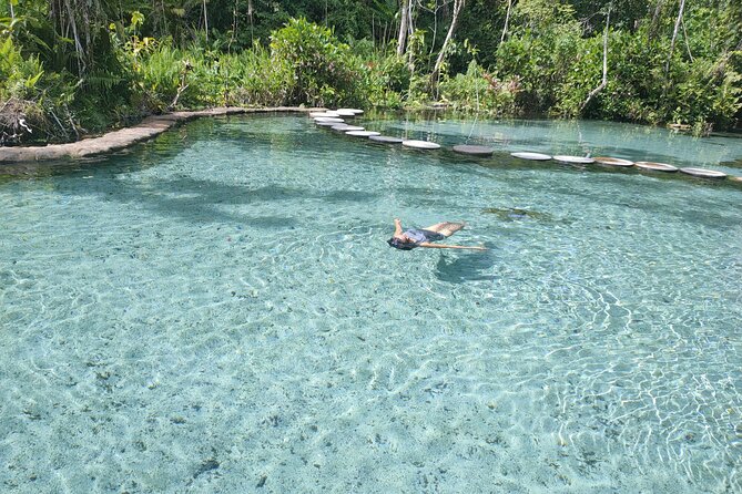 From Khao Lak : Cheow Lan Lake & Nam Rad Emerald Pool - Nam Rad Emerald Pool and its forest setting
