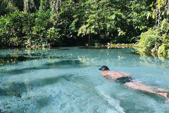 From Khao Lak : Cheow Lan Lake & Nam Rad Emerald Pool - Lunch at Frog Island