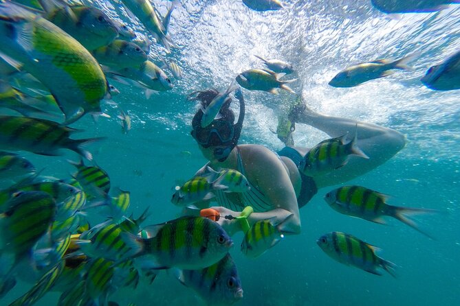 From Khao Lak : Phi Phi Islands Adventure Day Trip with Lunch - Maya Bay and the limits of a famous beach